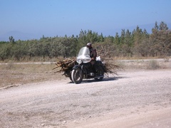 Uśmiech jest przepustką do ludzi