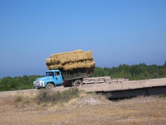 Uśmiech jest przepustką do ludzi