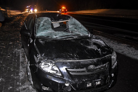 Trasa S22: Toyota i seat uderzyły w łosia
