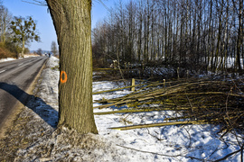 Wycinka na Fromborskiej, tu będzie ścieżka