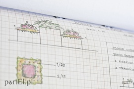 Kwiaty nie tylko dla turystów