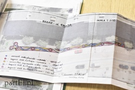 Kwiaty nie tylko dla turystów