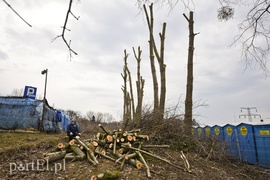 Wielkie cięcie na Zawadzie (wracamy do tematu)