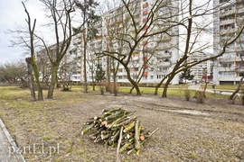 Wielkie cięcie na Zawadzie (wracamy do tematu)