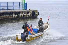 Na Zalewie rozpoczęły się \"śledziowe żniwa\"