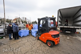 Na Zalewie rozpoczęły się \"śledziowe żniwa\"