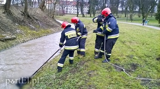 Utonął w Kumieli