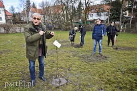 Jedni tną, inni sadzą
