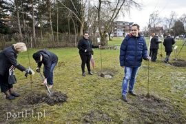 Jedni tną, inni sadzą