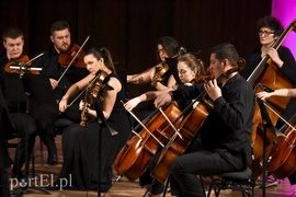 Nowe oblicza akordeonu