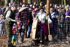 Zasadzili tysiąc nowych drzew