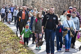 Zasadzili tysiąc nowych drzew