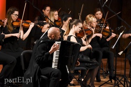 Trzech sympatycznych muzyków i ich akordeony