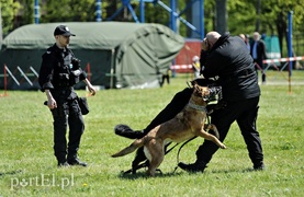 Wystrzałowy festyn służb mundurowych