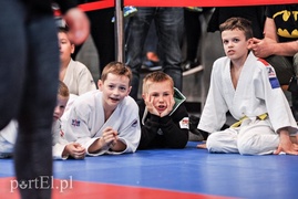 Walczą mali judocy