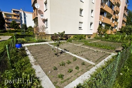 Jak się mieszka nad Jarem