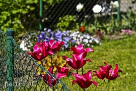 Jak się mieszka nad Jarem