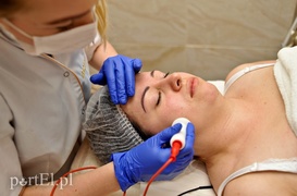 Drugi tydzień Metamorfozy