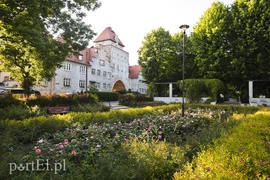 Co się zmieni na Rakowie