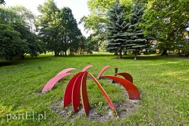 Co się zmieni na Rakowie