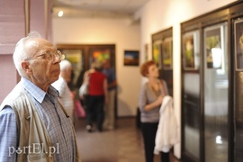 Po zdjęcia lasu trzeba się nachodzić