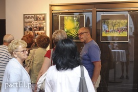 Po zdjęcia lasu trzeba się nachodzić