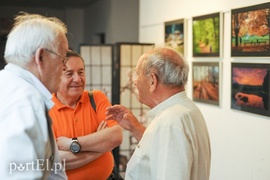 Po zdjęcia lasu trzeba się nachodzić