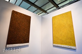 Artystyczne lwy Salonowe