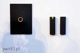 Artystyczne lwy Salonowe