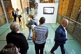 Artystyczne lwy Salonowe