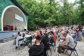 Muzyka Zielonej Wyspy