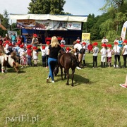 Pony Cup, czyli rośnie nowe pokolenie jeźdźców