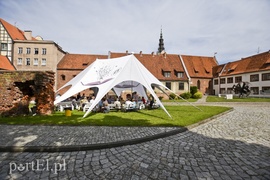 Krzyżacy musieli być najedzeni