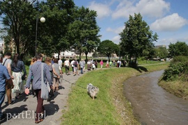 Tajemnice Kumieli odkryte