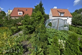 Co się zmieni na osiedlu Winnica