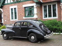 Kadyny zagrają w rosyjskim filmie