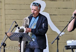 Depesze z Elbląga poszli w las