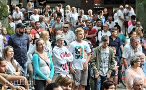 Depesze z Elbląga poszli w las