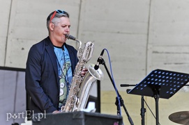 Depesze z Elbląga poszli w las