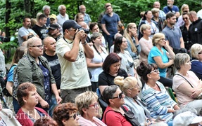 Depesze z Elbląga poszli w las