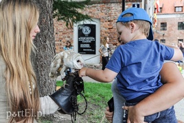 Jarmark, który odbywa się po sąsiedzku