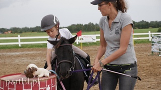 Trzecie zawody z cyklu Pony Cup już za nami