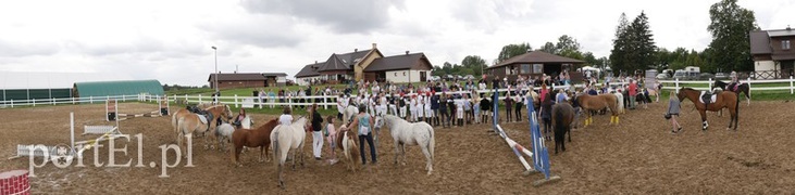 Trzecie zawody z cyklu Pony Cup już za nami