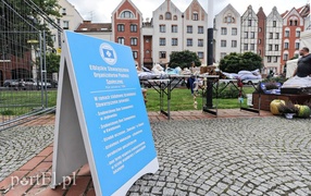 Sztuka bez barier i na wesoło