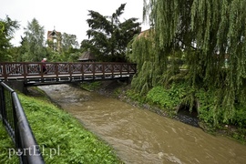 Kumiela jak rwąca rzeka