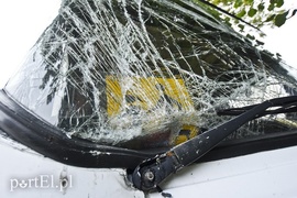 Autokar z dziećmi uderzył w drzewo