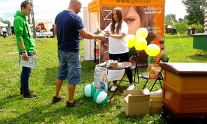 Szkoła pełna korzyści