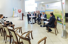 Jak Polak ze Skandynawem