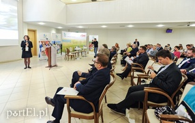 Jak Polak ze Skandynawem