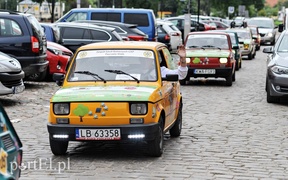 Jadą przez kraj, żeby pomóc pszczołom